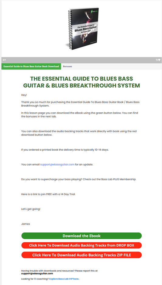 The Essential Guide to Blues Bass Guitar